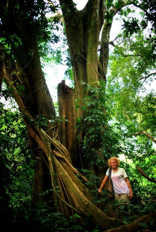 Me & a tree in Belize